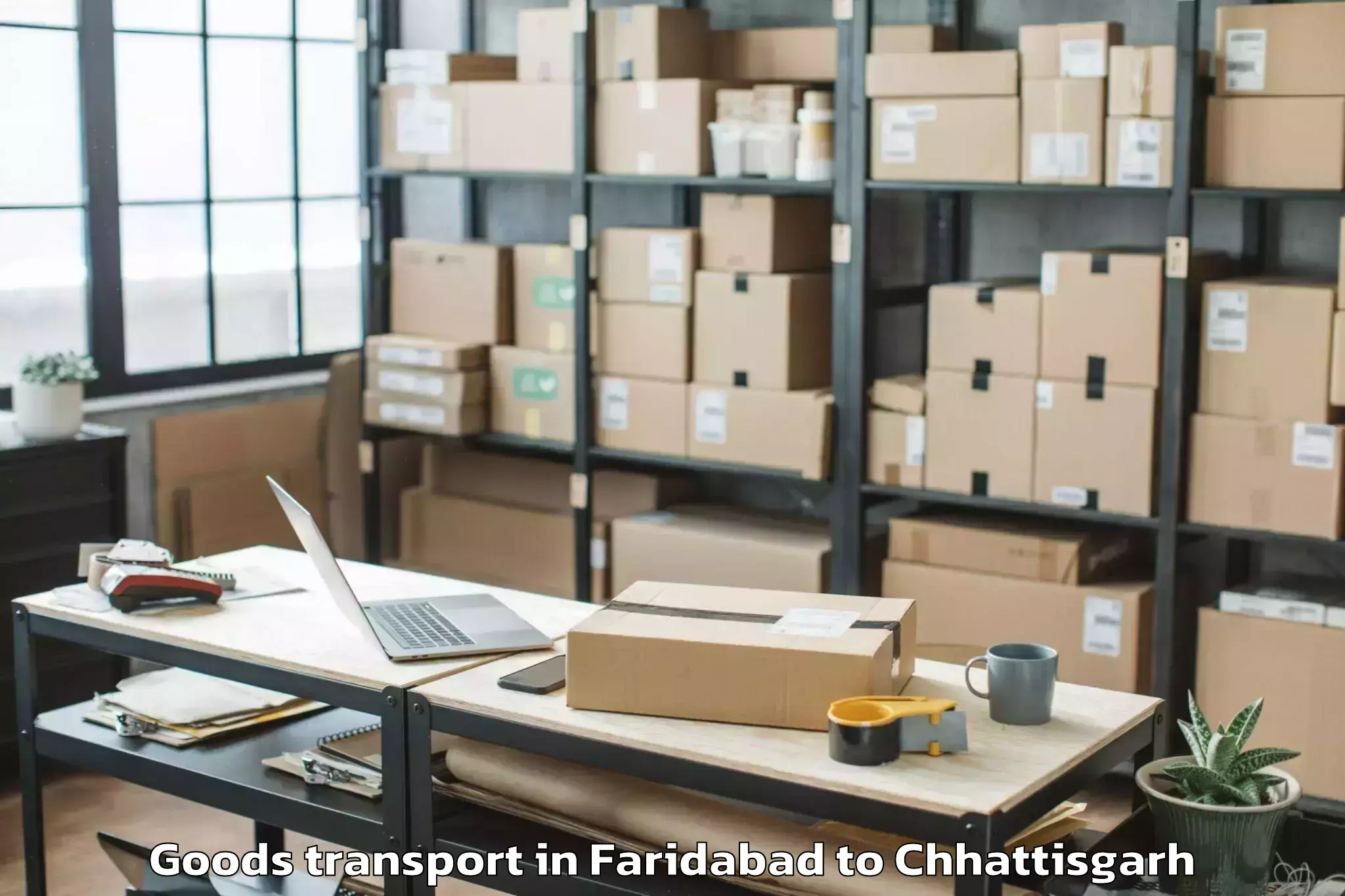 Trusted Faridabad to Kalinga University Raipur Goods Transport